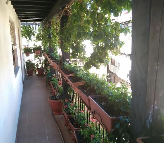 La Esquina De Animas لا ألبيركا